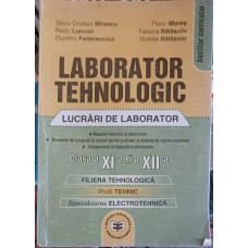 LABORATOR TEHNOLOGIC, CLASELE A XI-A SI A XII-A LUCRARI DE LABORATOR