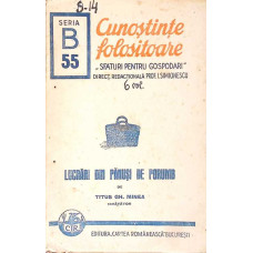 CUNOSTINTE FOLOSITOARE: LUCRARI DIN PANUSI DE PORUMB