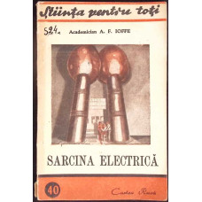 SARCINA ELECTRICA
