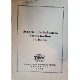 ASPECTE DIN INDUSTRIA BRANZETURILOR IN ITALIA