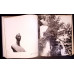 BRANCUSI