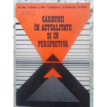CARBUNII IN ACTUALITATE SI IN PERSPECTIVA