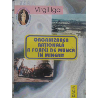ORGANIZAREA RATIONALA A FORTEI DE MUNCA IN MINERIT