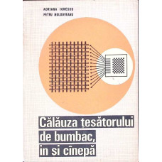 CALAUZA TESATORULUI DE BUMBAC, IN SI CANEPA