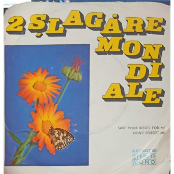 2 SLAGARE MONDIALE