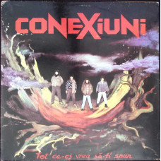 CONEXIUNI