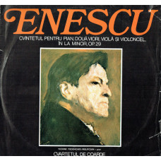 CVINTETUL PENTRU PIAN, DOUA VIORI, VIOLA SI VIOLONCEL, IN LA MINOR, OP. 29