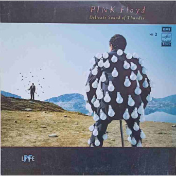DELICATE SOUND OF THUNDER NO.2. VINIL