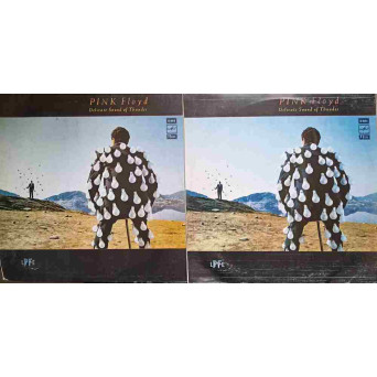 DELICATE SOUND OF THUNDER VOL.1-2 
