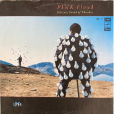 DELICATE SOUND OF THUNDER VOL.1