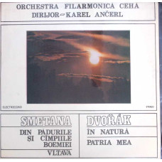 DIN PADURILE SI CAMPIILE BOEMIEI