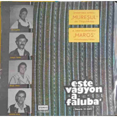 ESTE VAGYON A FALUBA' (SEARA IN SAT)