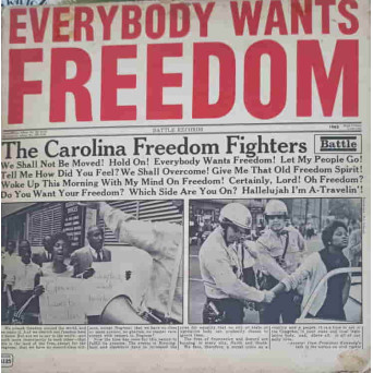 Everybody Wants Freedom