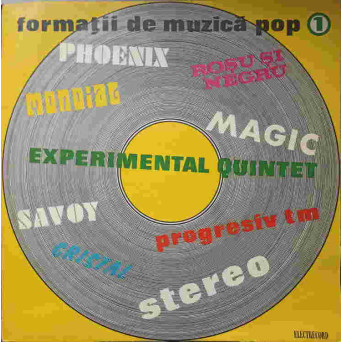 FORMATII DE MUZICA POP 1