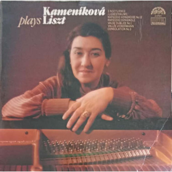 Kamenikova Plays Liszt
