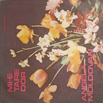 MI-E TARE DOR