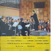 MINIATURI SIMFONICE