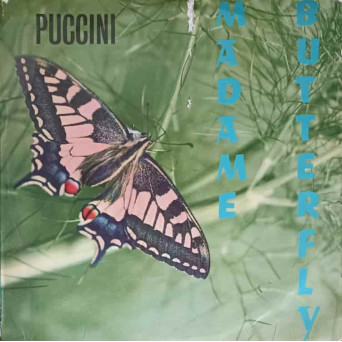 Madame Butterfly
