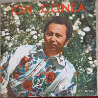 Mageran Crescut In Iarba Mageran Crescut In Iarba