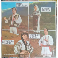 Mihai Calusaru, Ioana Marin, Anisșoara Vlaicu, Nicolae Vicol