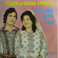 PE-O PALA DE FAN COSIT