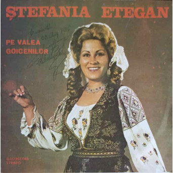 PE VALEA GOICENILOR