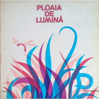 PLOAIA DE LUMINA