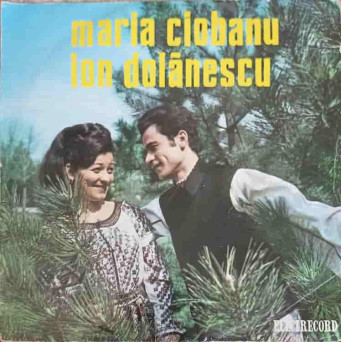 Prin Padurea Cu Flori Multe