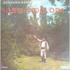 ROSMARIN BANATESC