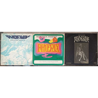 SET 3 DISCURI VINIL CANTOFABULE VOL.2. REMEMBER PHOENIX, MUGUR DE FLUIER