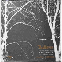 SONATELE PENTRU PIAN NR.8 (PATETICA) SI NR.14 (SONATA LUNII). VALENTIN GHEORGHIU - PIAN