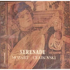 Serenade For Strings, Serenada Pentru Orchestră De Coarde, Op. 48