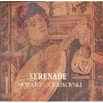 Serenade For Strings, Serenada Pentru Orchestră De Coarde, Op. 48