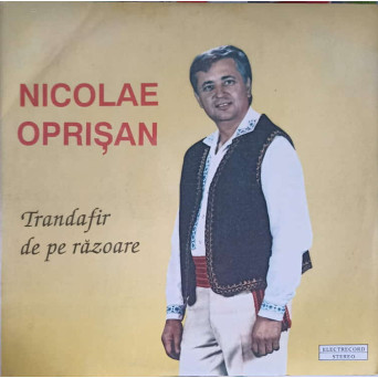 TRANDAFIR DE PE RAZOARE