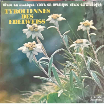 Tyroliennes Des Edelweiss