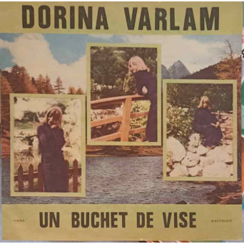 UN BUCHET DE VISE