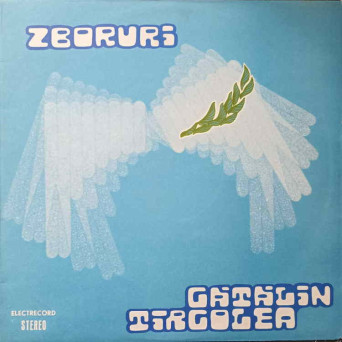 ZBORURI