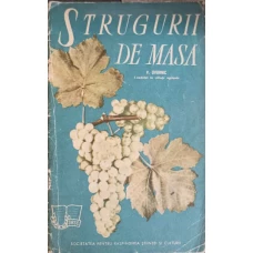STRUGURII DE MASA