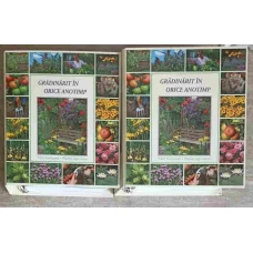 GRADINARIT IN ORICE ANOTIMP, 12 GRUPE