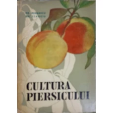 CULTURA PIERSICULUI