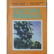 CULTURA PRUNULUI