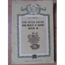 CUM PUTEM OBTINE DOUA RECOLTE DE CARTOFI INTR-UN AN