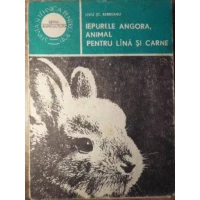 IEPURELE ANGORA, ANIMAL PENTRU LANA SI CARNE IEPURELE ANGORA, ANIMAL PENTRU LANA SI CARNE
