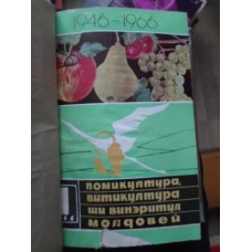POMICULTURA, VITICULTURA SI VINERITUL MOLDOVEI, 12 REVISTE ANUL1966 IN LB. ROMANA CU GRAFIE CHIRILIC