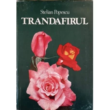 TRANDAFIRUL