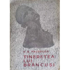 TINERETEA LUI BRANCUSI