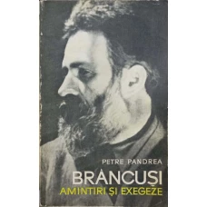 BRANCUSI, AMINTIRI SI EXEGEZE