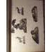 BRONZES DE BARYE. BRONZE PATINE MEDAILLE. EPREUVE ANCIENNE (ALBUM ALB-NEGRU)