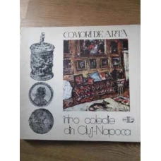 COMORI DE ARTA INTR-O COLECTIE DIN CLUJ-NAPOCA
