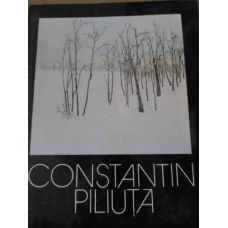 CONSTANTIN PILIUTA, PEISAJELE AMINTIRII